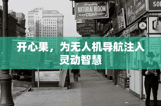 开心果，为无人机导航注入灵动智慧