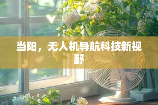 当阳，无人机导航科技新视野