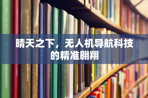晴天之下，无人机导航科技的精准翱翔
