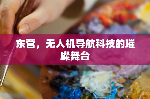 东营，无人机导航科技的璀璨舞台