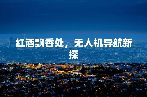 红酒飘香处，无人机导航新探
