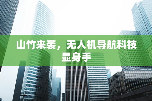 山竹来袭，无人机导航科技显身手