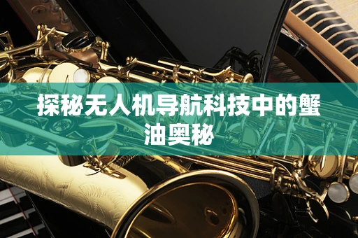 探秘无人机导航科技中的蟹油奥秘