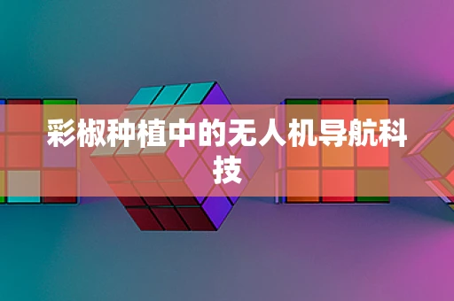 彩椒种植中的无人机导航科技