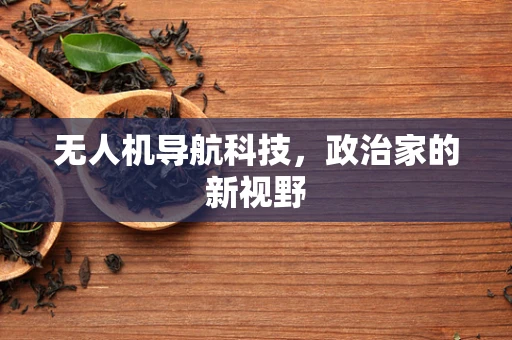 无人机导航科技，政治家的新视野