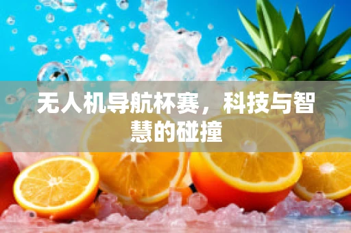 无人机导航杯赛，科技与智慧的碰撞