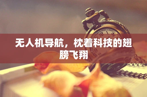 无人机导航，枕着科技的翅膀飞翔