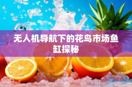 无人机导航下的花鸟市场鱼缸探秘