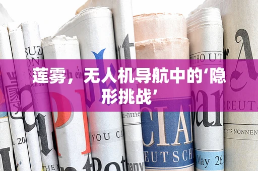 莲雾，无人机导航中的‘隐形挑战’