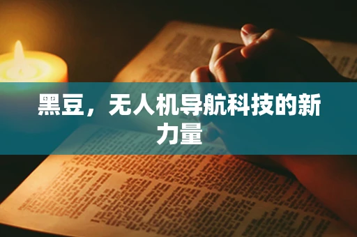 黑豆，无人机导航科技的新力量