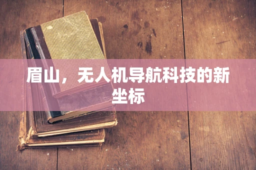 眉山，无人机导航科技的新坐标