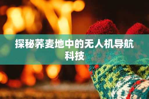 探秘荞麦地中的无人机导航科技