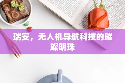 瑞安，无人机导航科技的璀璨明珠