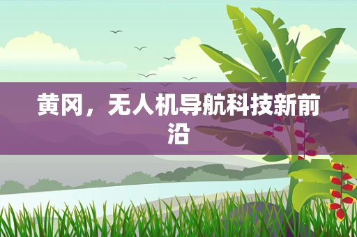黄冈，无人机导航科技新前沿
