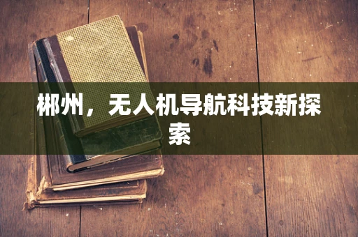 郴州，无人机导航科技新探索