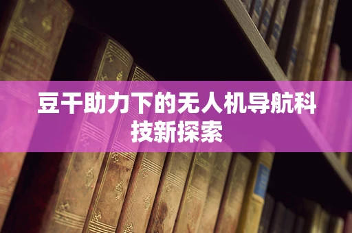 豆干助力下的无人机导航科技新探索