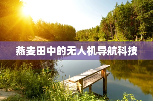 燕麦田中的无人机导航科技