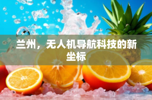兰州，无人机导航科技的新坐标