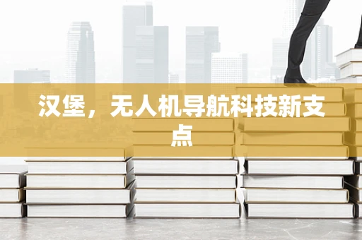 汉堡，无人机导航科技新支点