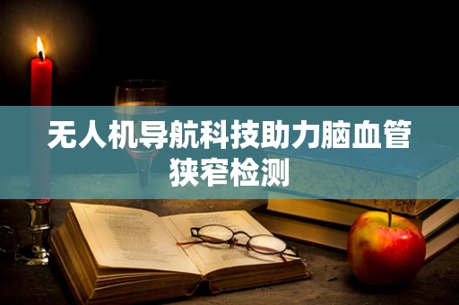 无人机导航科技助力脑血管狭窄检测