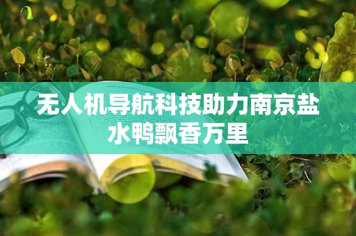 无人机导航科技助力南京盐水鸭飘香万里