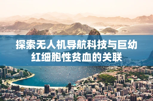 探索无人机导航科技与巨幼红细胞性贫血的关联