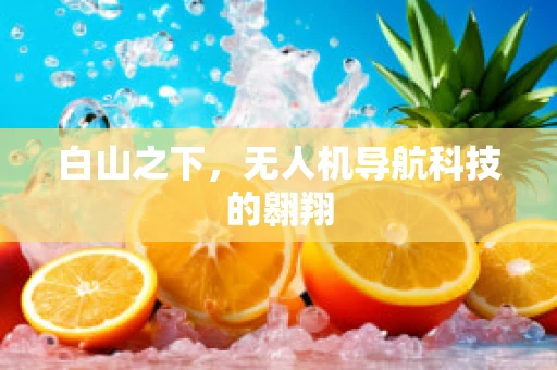 白山之下，无人机导航科技的翱翔