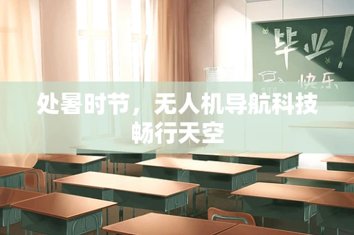 处暑时节，无人机导航科技畅行天空