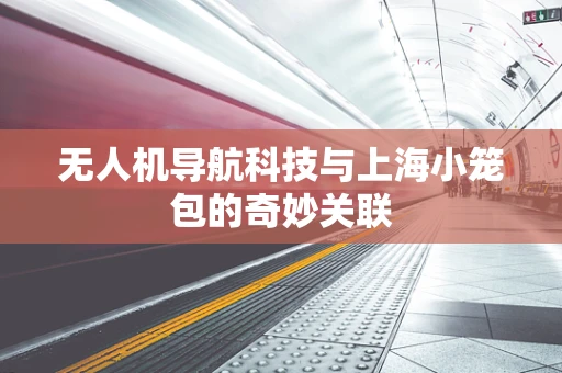 无人机导航科技与上海小笼包的奇妙关联