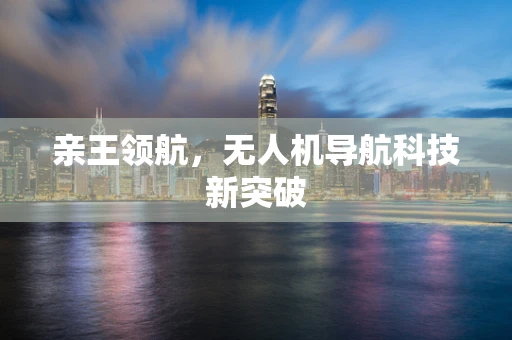亲王领航，无人机导航科技新突破