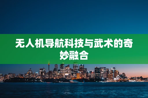无人机导航科技与武术的奇妙融合