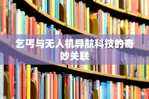乞丐与无人机导航科技的奇妙关联