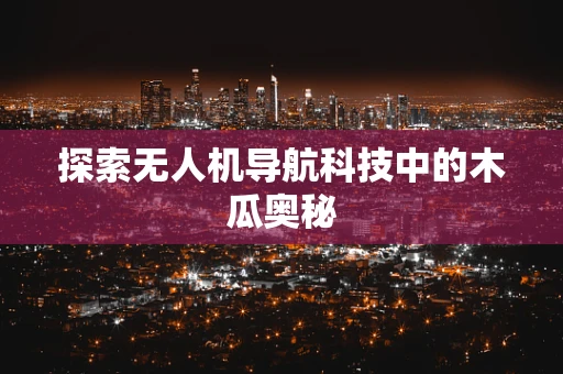 探索无人机导航科技中的木瓜奥秘