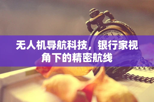 无人机导航科技，银行家视角下的精密航线