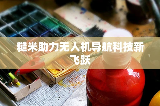 糙米助力无人机导航科技新飞跃