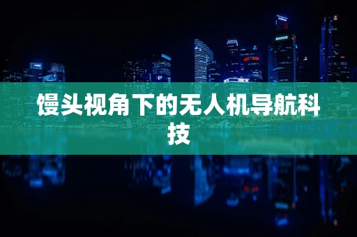 馒头视角下的无人机导航科技