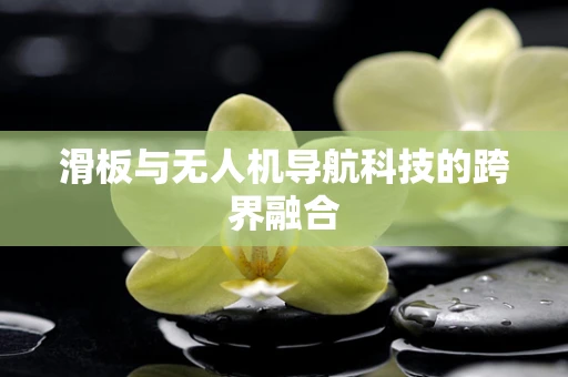 滑板与无人机导航科技的跨界融合