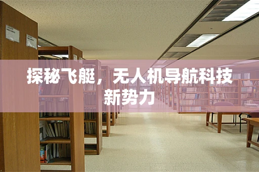 探秘飞艇，无人机导航科技新势力