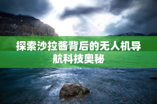 探索沙拉酱背后的无人机导航科技奥秘