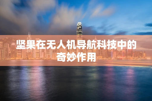 坚果在无人机导航科技中的奇妙作用