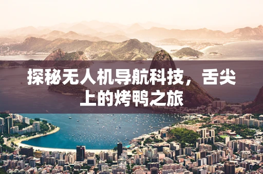 探秘无人机导航科技，舌尖上的烤鸭之旅