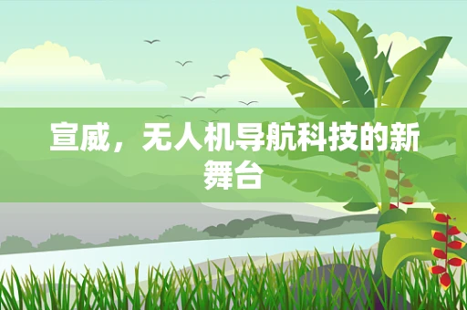 宣威，无人机导航科技的新舞台