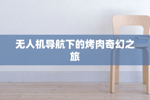 无人机导航下的烤肉奇幻之旅