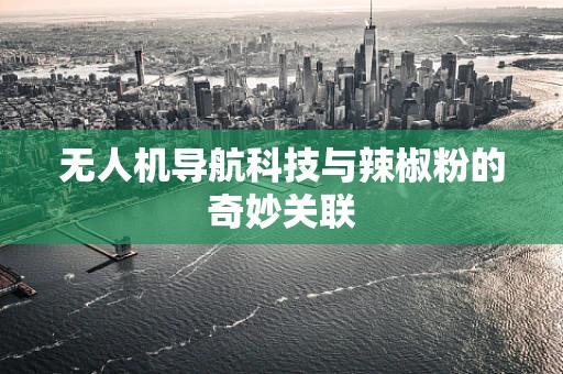 无人机导航科技与辣椒粉的奇妙关联