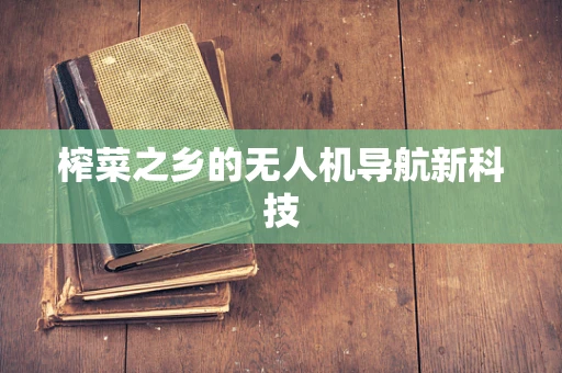榨菜之乡的无人机导航新科技