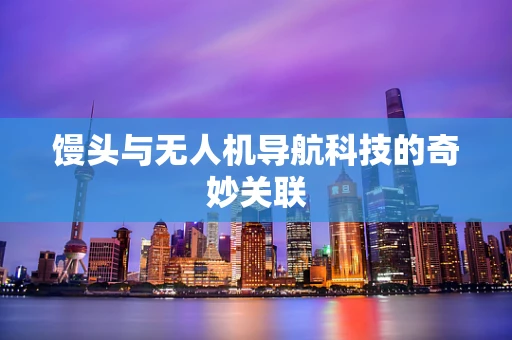 馒头与无人机导航科技的奇妙关联