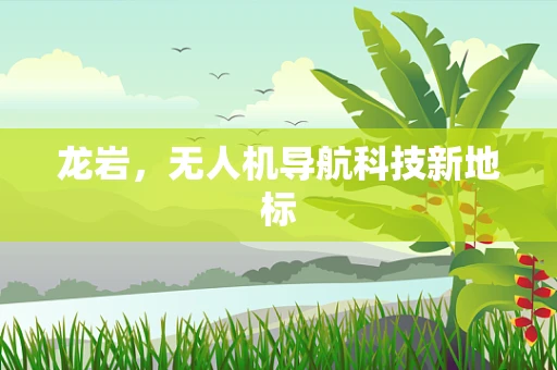龙岩，无人机导航科技新地标