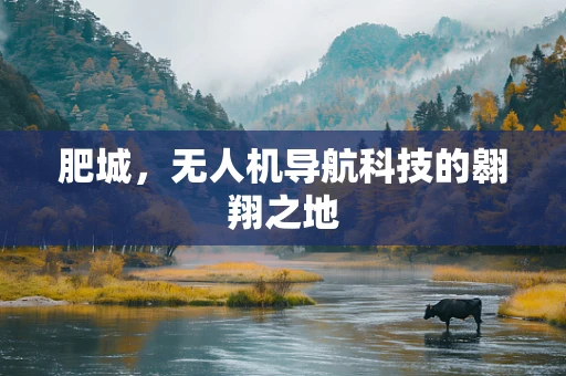 肥城，无人机导航科技的翱翔之地