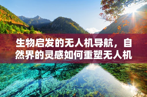 生物启发的无人机导航，自然界的灵感如何重塑无人机科技？
