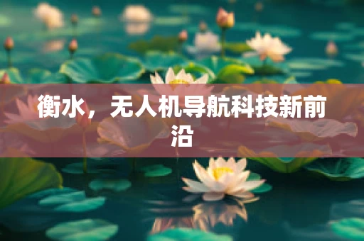 衡水，无人机导航科技新前沿